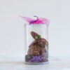 Pâques | Chocolat 105g (A) – Image 6